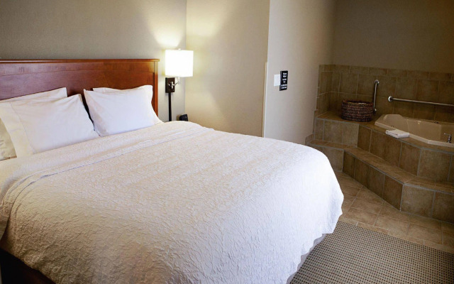 Hampton Inn Mitchell