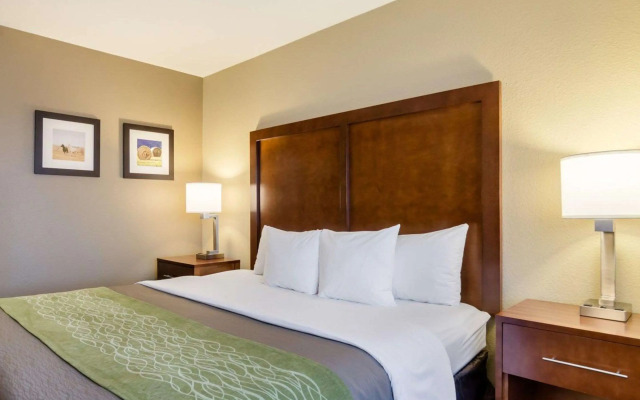 Comfort Inn Garden City