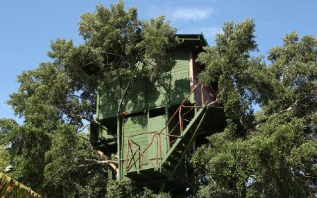 Yala Tree House