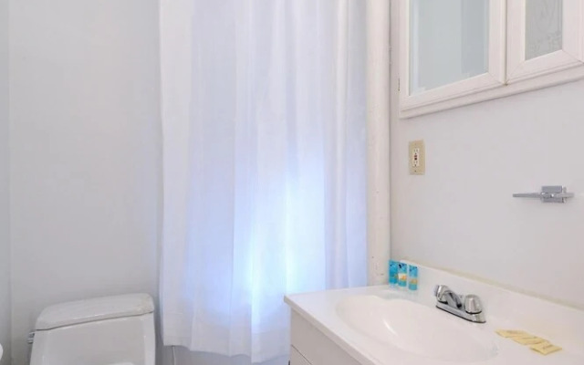 Exotic 1 Bedroom Monthly Apartment