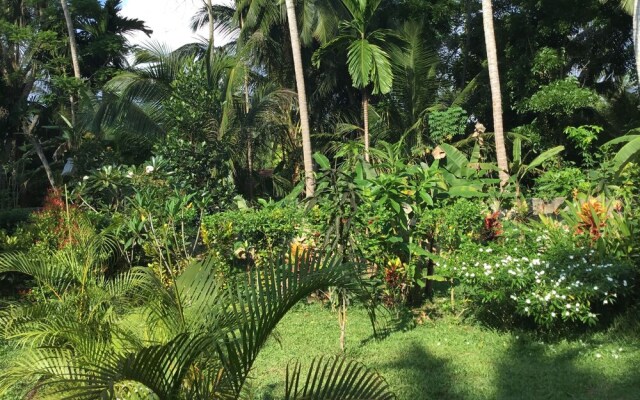 King Coconut Lodge