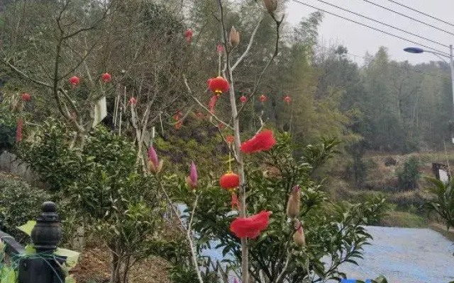 Shangrao Junfeng Mountain Villa