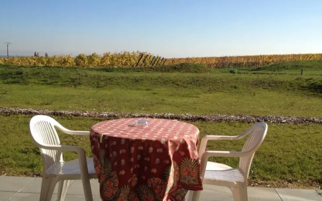 Appartements Villa Paladienne