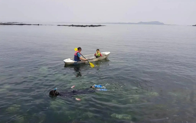 Hado Saeya Saeya Private