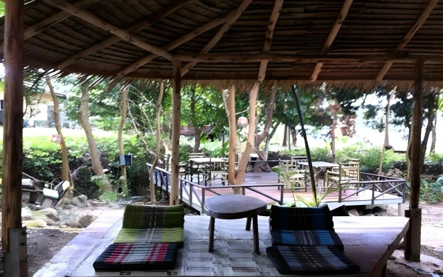 Jungle Garden