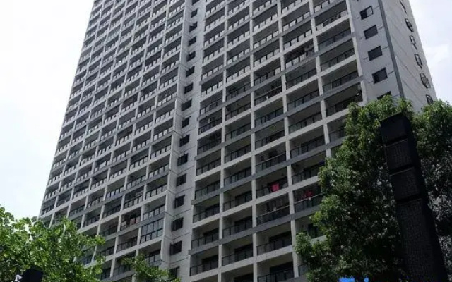 Sihai Youjia Vacation Homestay (Fangchenggang CBD Business Apartment)