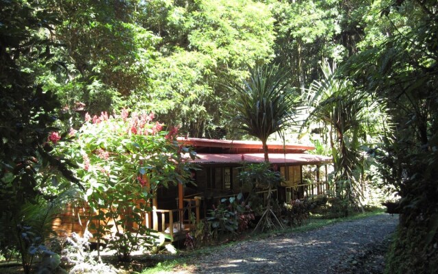 Samasati Yoga & Wellness Retreat