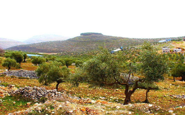 Taybeh Golden Hotel
