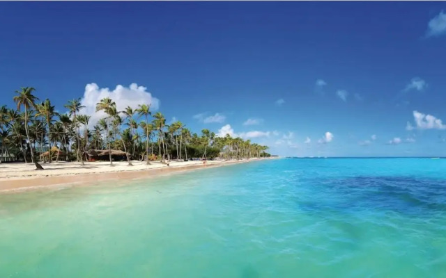 Maple Beach by DR Collection