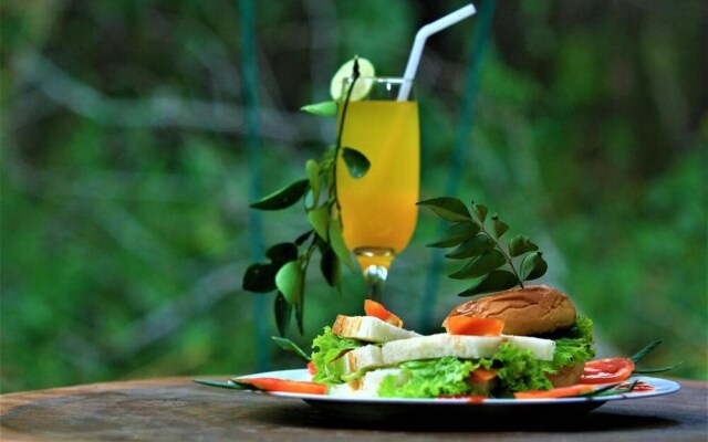 Magical Tented Lodge in Yala- Thissamaharamaya