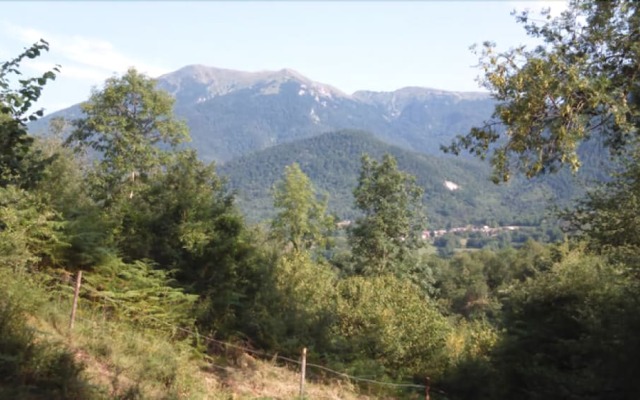 Les Insolites d'Eljie