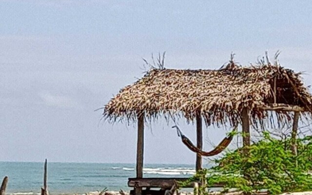 Tambo Marina Ecohostal - Hostel