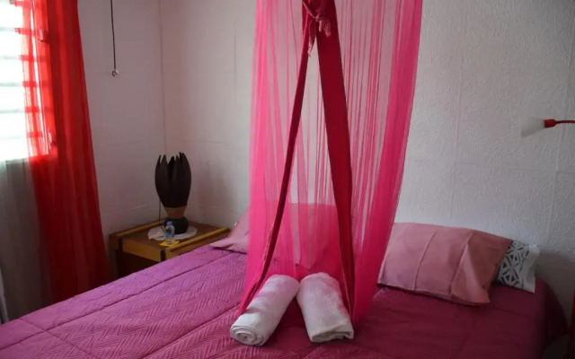 Mapi des Iles - chambre chez l'habitant
