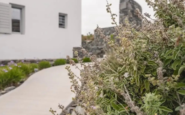 Villa Nites in Syros