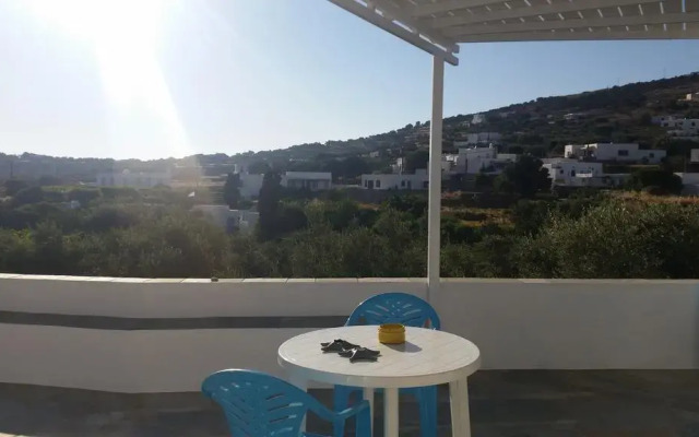 Sofia's Studios
