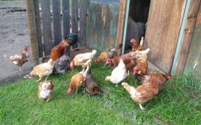 Half Moon Guest House