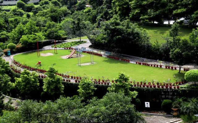 Luxury Aloha Apartments