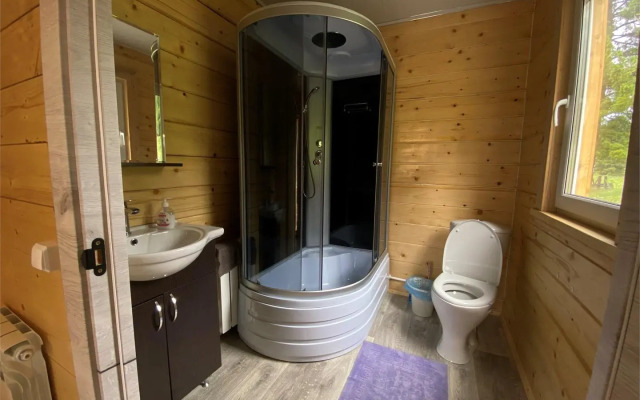 Кедр Золотой