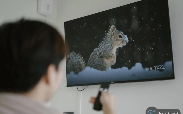 Scene private hostel