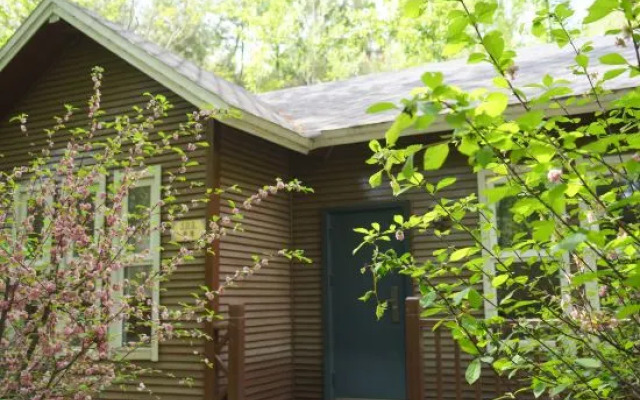 Yangqu Champagne No. 1 Tree House Art Camp