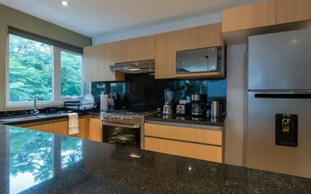 Elbe Retreat - Fabulous 2bdr Apartment Near Bosque de Chapultepec