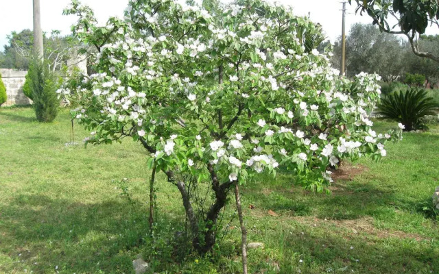 Bed & Breakfast Villa Rita