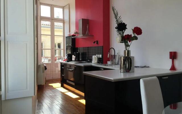 Luxueux Appart Place des Grands Hommes