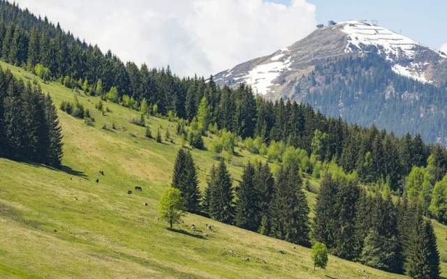 Appartements Bernhofer