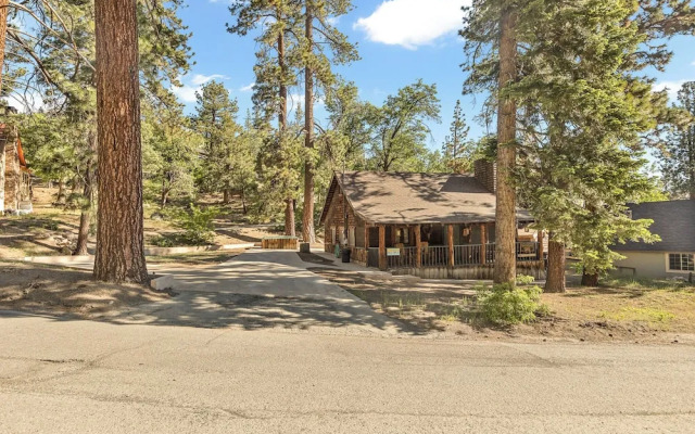 Whispering Pines Walk to Bear Mountain!