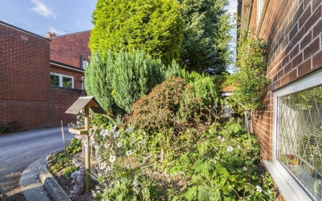 Ivy Guest House