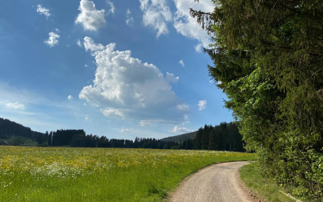 Hollhouse - Bed & Breakfast