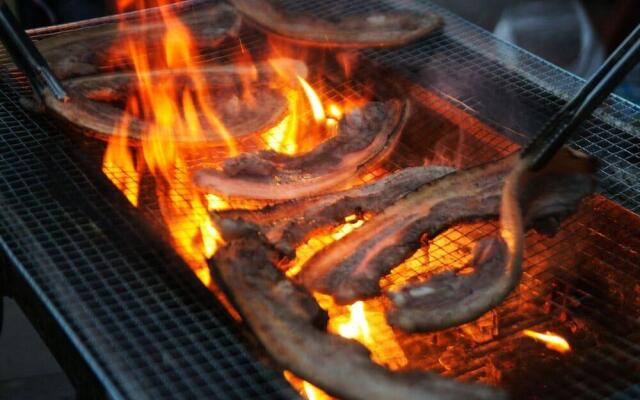 Healing Palace Pension