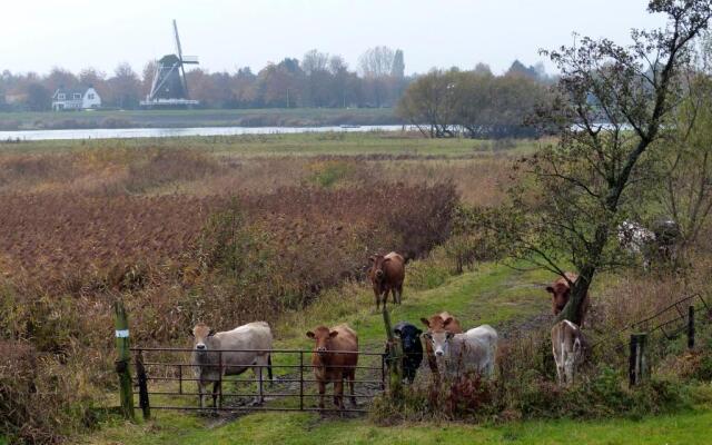 t Geheim van de Molenaer