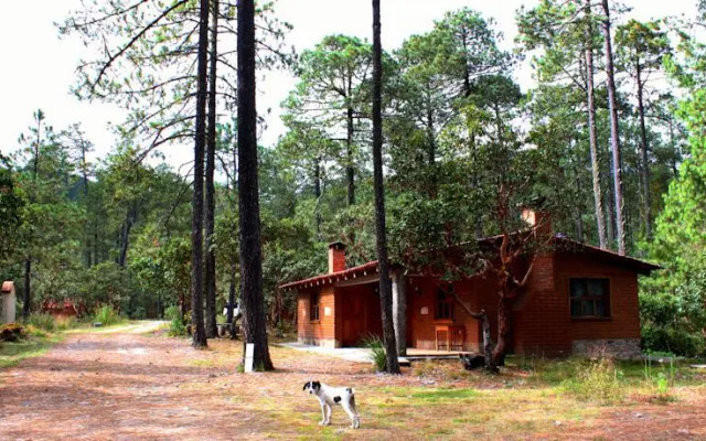 Centro Ecoturístico Cabañas Llano Grande