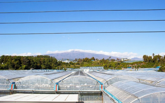 Jeju Sangchune Pension And Guest House