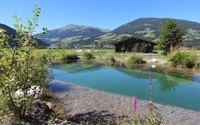 Charming Holiday Home With Private Swimming Pool in Salzburg