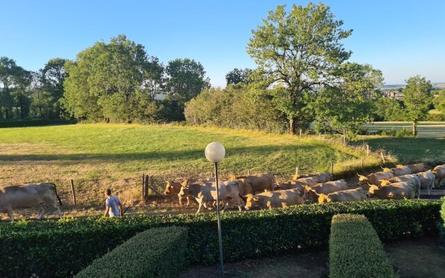 La Bastide du Cantal
