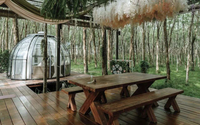 Timber Society Boutique Hideaway