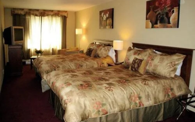Hotel Plateau Royale