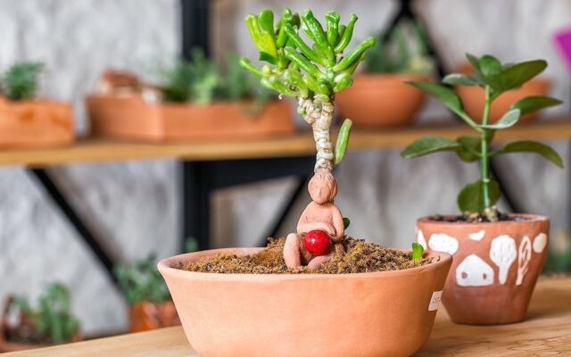 Serin Alacati Boutique Hotel