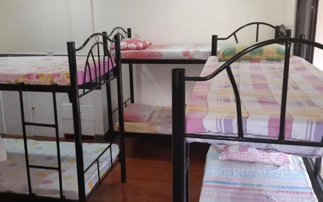 Screaming Gecko Hostel Air-Con