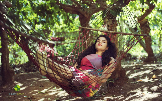 Planet Green Plantation Resorts