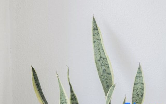 Yiqingshe Tiyun Boutique Inn