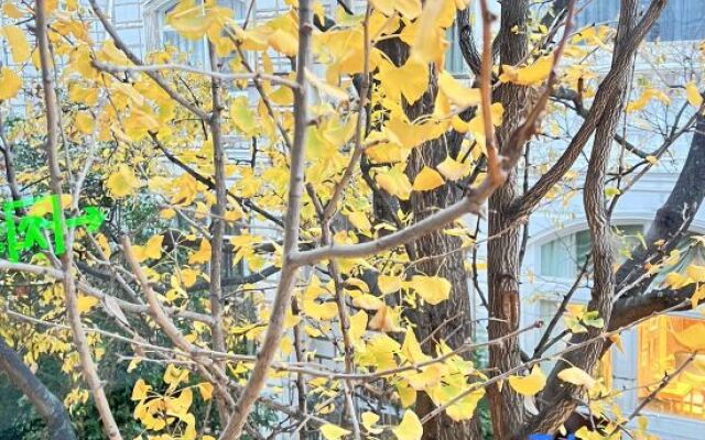 Kunming Fengdan Hospital (Xishan Dianchi Branch)