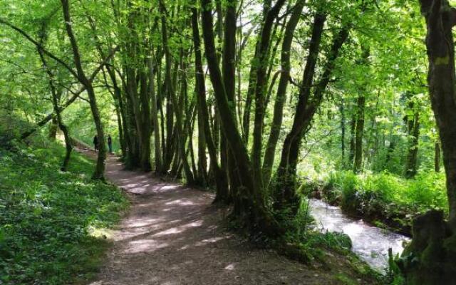 Brou-seillon : entre histoire et nature