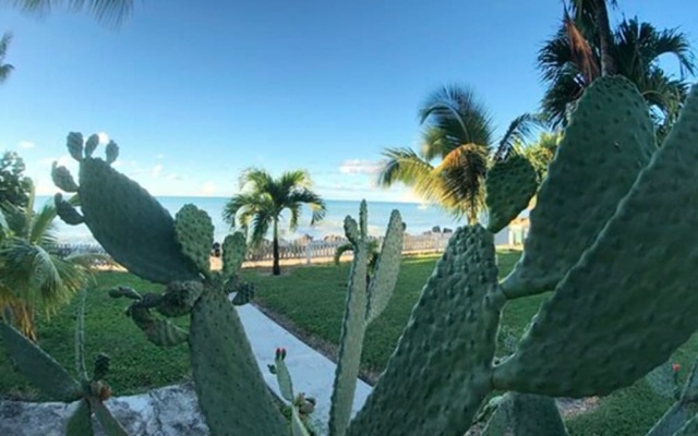 Dickenson Bay Oasis Antigua Village