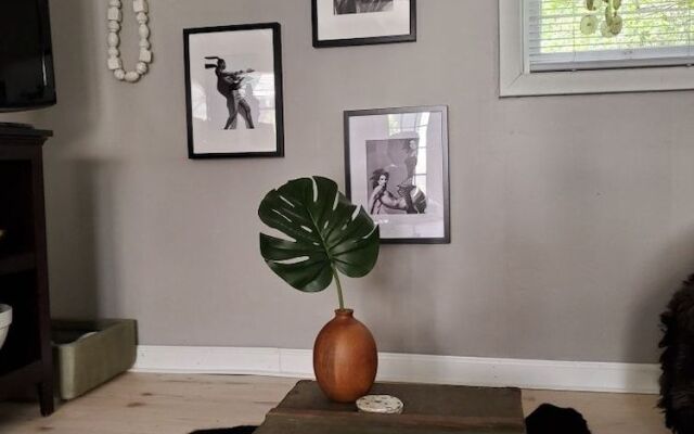 Paradise Pine Getaway Cabins