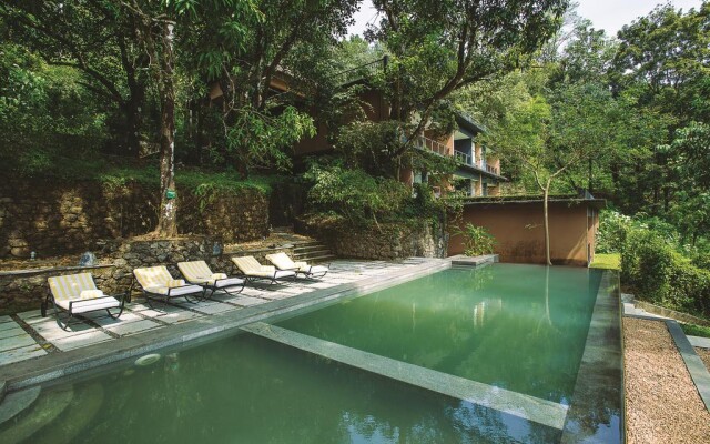 Rainforest Boutique Resort