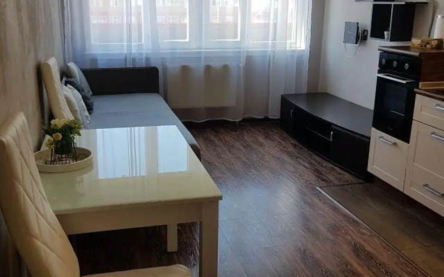 Апартаменты микрорайон Оптимистов 4/3