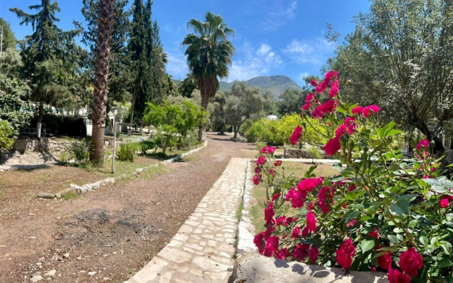 Olympos Angels Garden